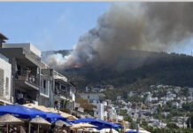 Bodrum’da bir yangın daha başladı