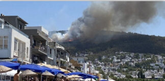 Bodrum’da bir yangın daha başladı