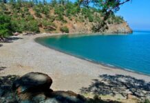 Milli Park içindeki Alacasu Koyu, Ankaralı bir firmaya peşkeş çekildi!