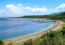 Yangınlara yeterli müdahalede bulunmayan iktidar, hazineye ait ormanlık alanları da ranta açıyor