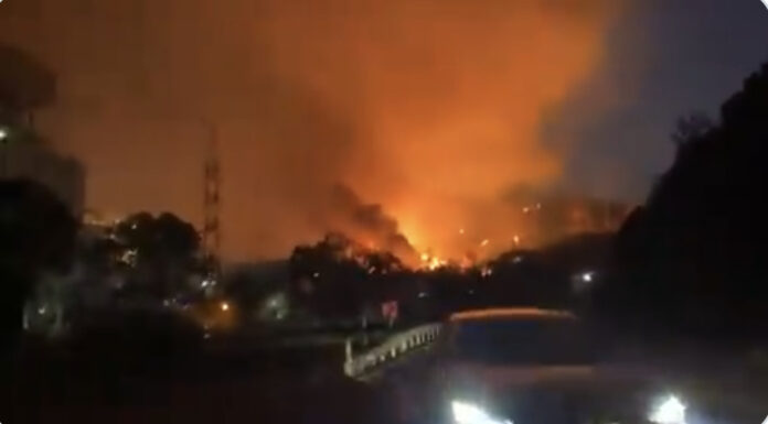 Muğla’daki yangın termik santrale ulaştı!