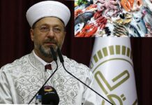 Diyanet bu sefer de yiyeceklere karıştı: Kalamar, yengeç, ıstakoz gibi deniz hayvanlarının İslam dinine göre “haram” imiş!