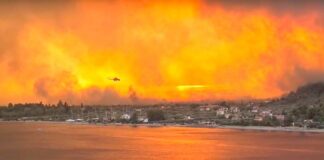 Yunanistan’ın Evia adasında çıkan orman yangını hala devam ediyor