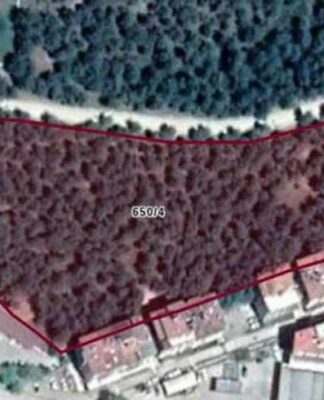 AKP’li belediye 13 dönümlük ormanı imara açtı, CHP ve İYİP’in itirazlarına rağmen karar oy çokluğuyla kabul edildi