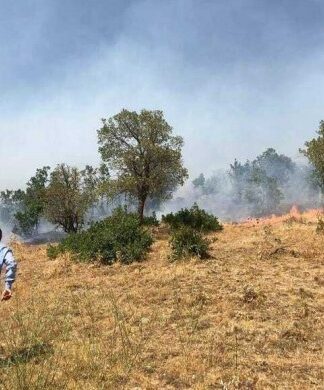 Şemdinli’de 4 gündür devam eden yangın kontrol altına alındı