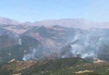 CHP, Dersim’de süren yangınlar için heyet gönderiyor