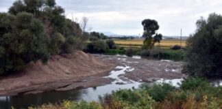 Tunca ve Meriç’te alarm: Kuraklık nedeniyle nehirlerde adacıklar oluştu
