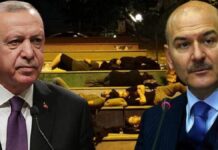 Erdoğan’dan sonra Soylu da “barınamıyoruz” diyen öğrencileri hedef gösterdi