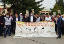 1280 gündür direnen Cargill işçileri kazandı