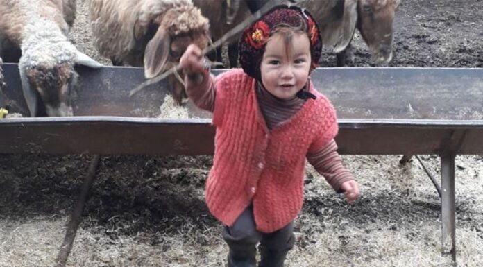 10 gündür kayıp olan 2,5 yaşındaki Müslüme yaşamını yitirmiş olarak bulundu