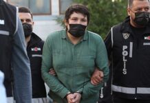 Tosuncuk olarak bilinen Mehmet Aydın’ın ağabeyi Türkiye’ye getiriliyor