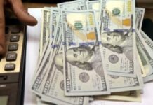 Dolar 14’e yaklaştı, Merkez Bankası yine müdahale etti