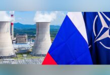 Rus gazı yerine yeşil nükleer santraller*