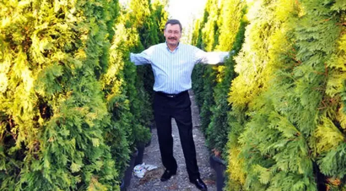 Gökçek hakkında bir dosya daha: Bitki alımında 950 milyon lira usulsüzlük yapıldığı tespit edildi!