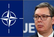 Sırbistan Cumhurbaşkanı Aleksandar Vucic: “NATO’ya katılmayacağız”