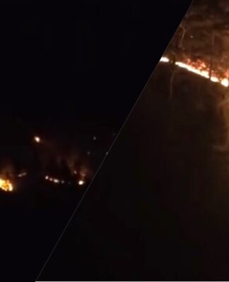 Bayramiç’teki tarım alanında çıkan yangın ormana sıçradı