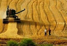 İnanılır gibi değil: Bir zamanlar tarım cenneti olan Türkiye, tarım yapmak için 10 ülkede arazi kiralayacak!