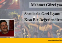 Sorularla Gezi İsyanının Kısa Bir Değerlendirmesi