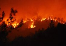 Marmaris’teki yangında sabotaj şüphesi
