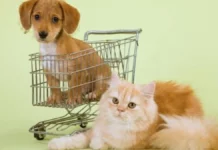 14 Temmuz’dan itibaren pet shoplarda kedi ve köpek satışına son verilecek