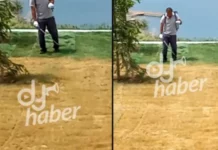 Açılışı yapılacak olan Millet Bahçesi’nin kuruyan çimleri, görevliler tarafından yeşile boyandı