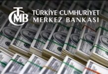 Merkez Bankası brüt rezervi 7 günde 1 milyar 72 milyon dolar azaldı
