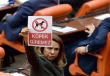 CHP’lilere “Köpek giremez” afişi açan ve ismi meclisteki kavgalarıyla anılan Gökçen Enç, Süleyman Soylu’nun danışmanı oldu