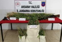 Arazisinde kenevir, evinde esrar bulunan AKP’li Eskil Belediye Meclis Üyesi Abdullah Gözen serbest bırakıldı