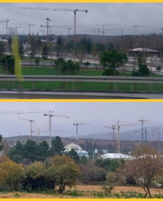 Kuzey Ormanları’nda talan sürüyor