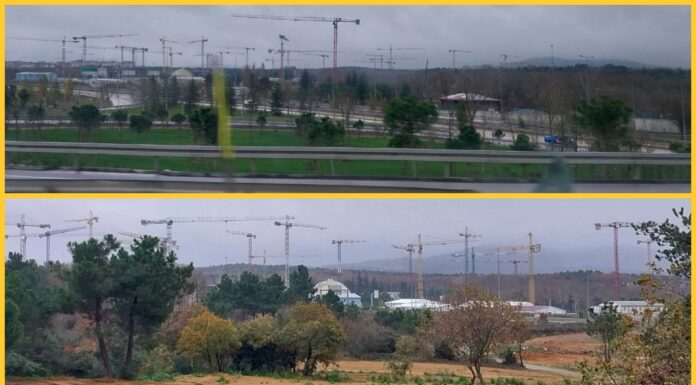 Kuzey Ormanları’nda talan sürüyor