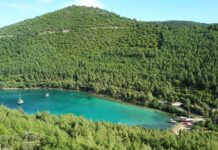 Bodrum Göltürkbükü’nde ormanlar ranta açıldı