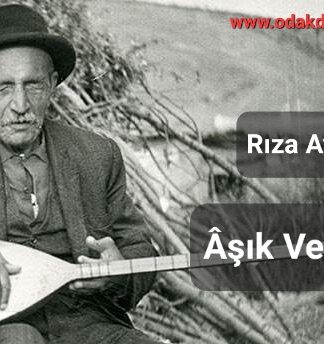 Âşık Veysel Yılı