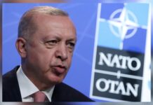 Finlandiya’nın NATO üyeliği TBMM Genel Kurulu’nda kabul edildi