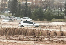 Deprem bölgesinde sel: Konteyner sulara kapıldı, ölü ve kayıplar var