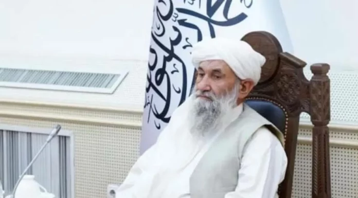 Taliban’dan Erdoğan’a tebrik mesajı