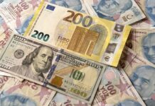 Euro yeni rekor kırdı
