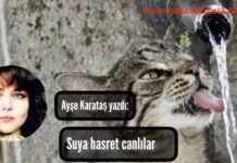 Suya Hasret Canlılar