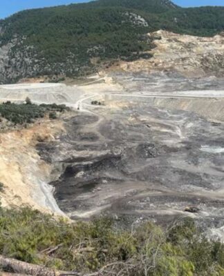 Akbelen’deki direnişte bugün 20 kişi gözaltına alındı