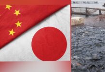 Çin’den Japonya’ya yasak: Gıda güvenliği sebebiyle Japonya’dan gerçekleştirilen deniz ürünleri ithalatı yasaklandı