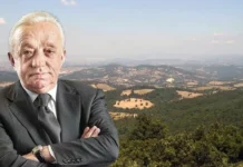 Akbelen’den sonra şimdi de Cengiz’in şirketi Kaz Dağları’nda doğa katliamına başladı