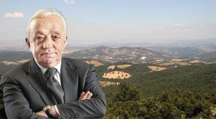 Akbelen’den sonra şimdi de Cengiz’in şirketi Kaz Dağları’nda doğa katliamına başladı