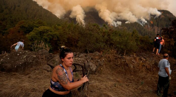 İklim krizi bu yaz da kendini şiddetli bir şekilde gösteriyor: Günlerdir Tenerife Adalarındaki orman yangını söndürülemezken Almanya’nın birçok kentini aşırı yağış nedeniyle su bastı