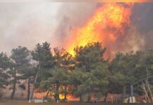 Çanakkale’de orman yangını başladı!