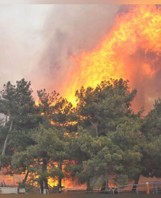 Çanakkale’de orman yangını başladı!