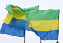Orta Afrika Devletleri Ekonomik Topluluğu, Gabon’un üyeliğini askıya aldı