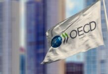 OECD raporu: Türkiye eğitime yatırım yapmıyor