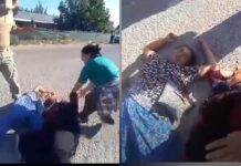 Agrobay’da direnen işçiler jandarma tarafından yerlerde sürüklendi, sendika başkanı dahil olmak üzere birçok kişi gözaltına alındı