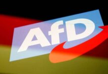 Tersine göç planı sadece AfD’nin mi?*