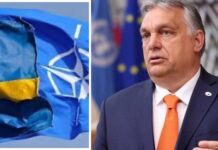 Macaristan, İsveç’in NATO üyeliğini Pazartesi günü oylayacak