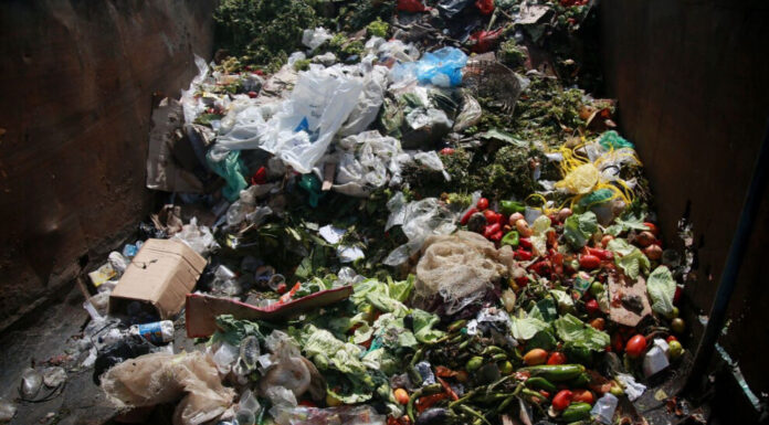 BM: Günde 1 milyarı aşkın öğün çöpe atılıyor